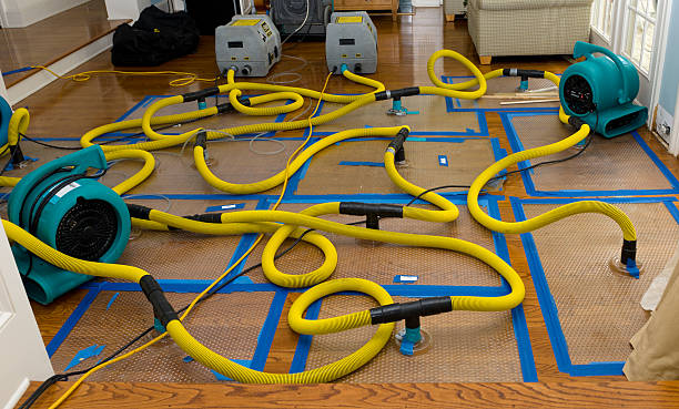 Professional Crawl Space Water Removal technician working in Lake Pleasant, MA